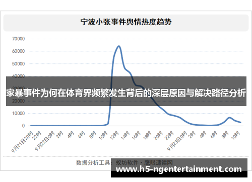 家暴事件为何在体育界频繁发生背后的深层原因与解决路径分析