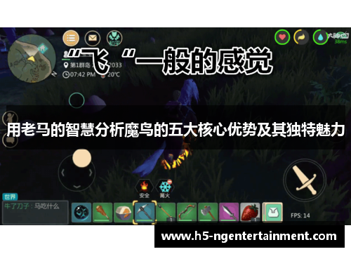 用老马的智慧分析魔鸟的五大核心优势及其独特魅力