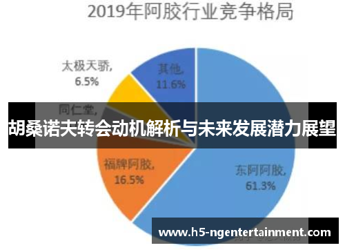 胡桑诺夫转会动机解析与未来发展潜力展望