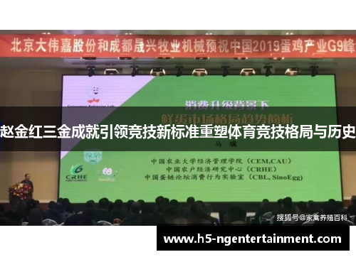 赵金红三金成就引领竞技新标准重塑体育竞技格局与历史 赵金红三金成就引领竞技新标准重塑体育竞技格局与历史