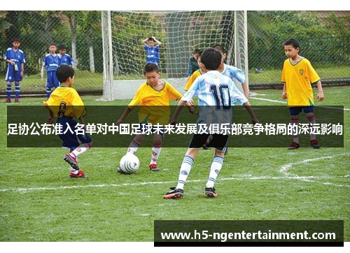 足协公布准入名单对中国足球未来发展及俱乐部竞争格局的深远影响