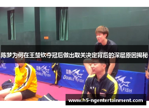陈梦为何在王楚钦夺冠后做出取关决定背后的深层原因揭秘
