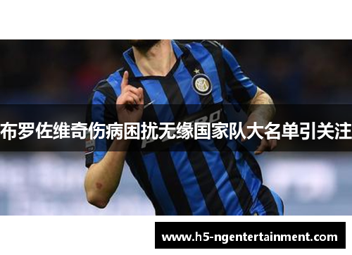 布罗佐维奇伤病困扰无缘国家队大名单引关注 布罗佐维奇伤病困扰无缘国家队大名单引关注